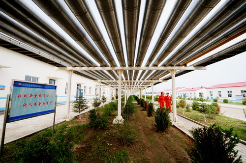 吉林扶余油田向浅油层要产量(组图)--中国石油