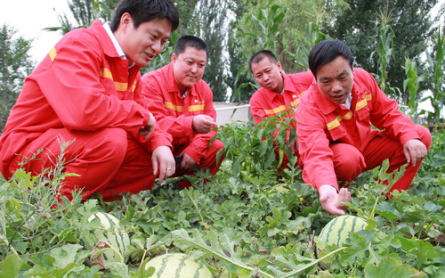 山东济宁销售小绿地丰富员工生活--中国石油