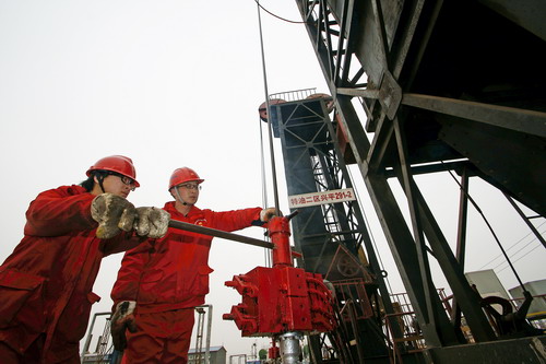 水平井双管不动管柱开采技术成功应用--中国石