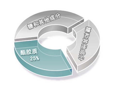 七彩霓裳--衣与石油--中国石油新闻中心