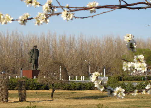 图为市民拍摄的铁人广场上的美丽春光.李云涛 摄影报道