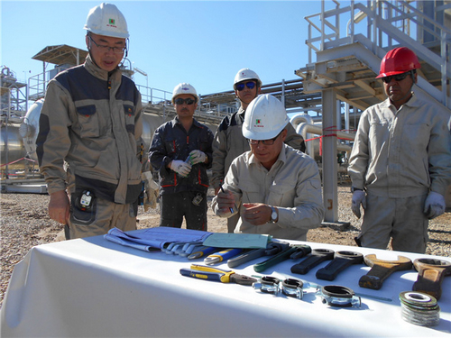 新疆油田伊拉克海外项目进展顺利--中国石油新